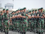 TNI 1068x712