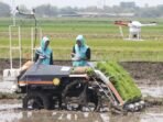 penerapan-teknologi-pertanian-4-0-091019-pf-2_2-e1667874787282