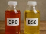 t_69cbc92871c61